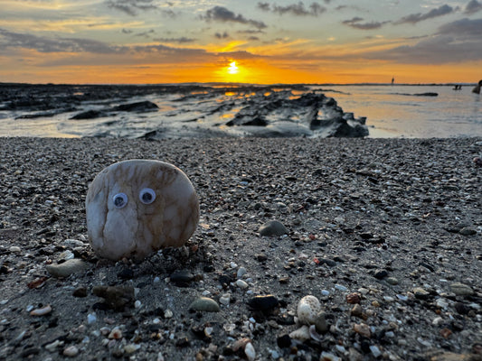 Rock Hunting on Cape Cod
