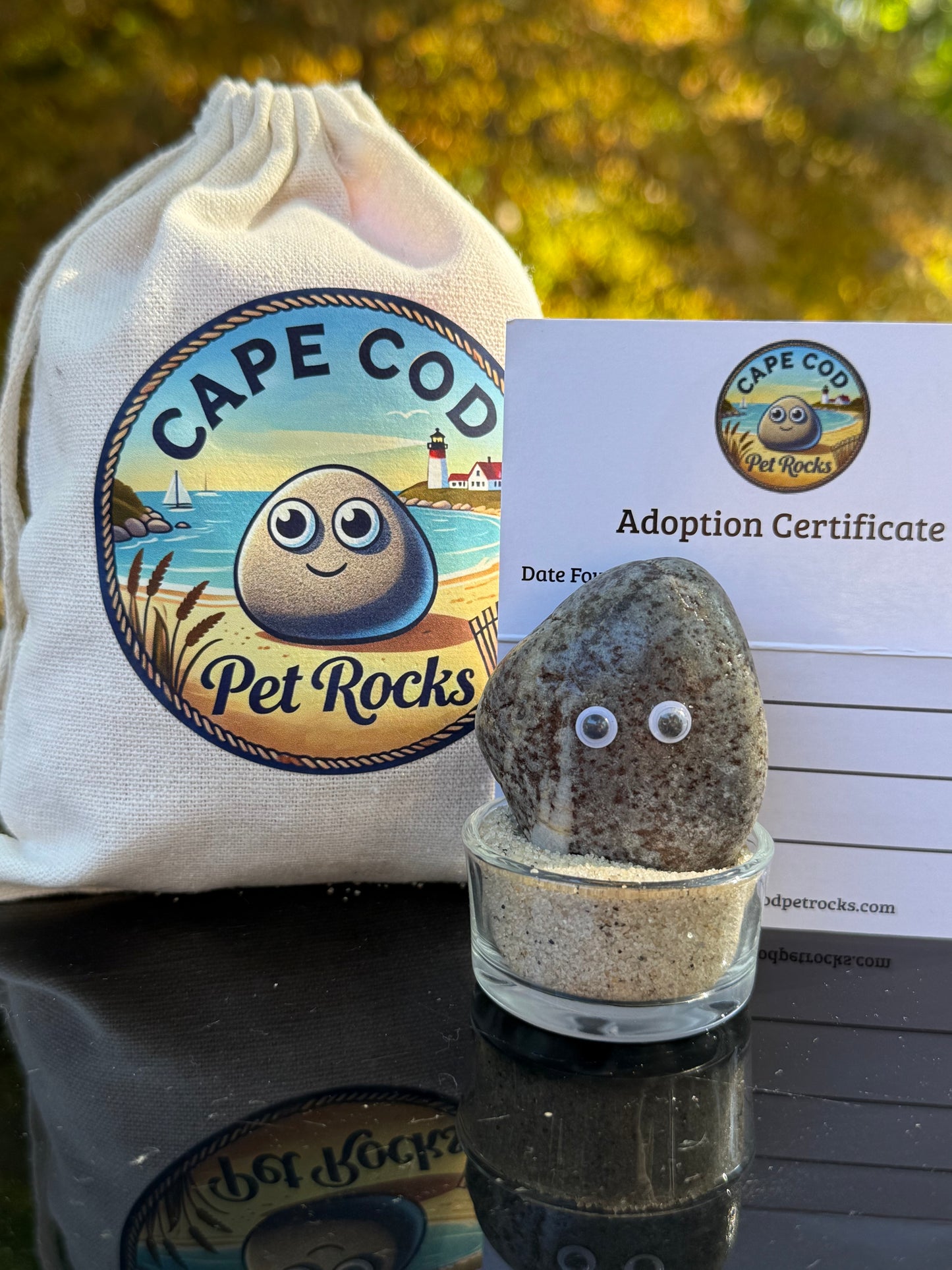 A Cape Cod Pet Rock