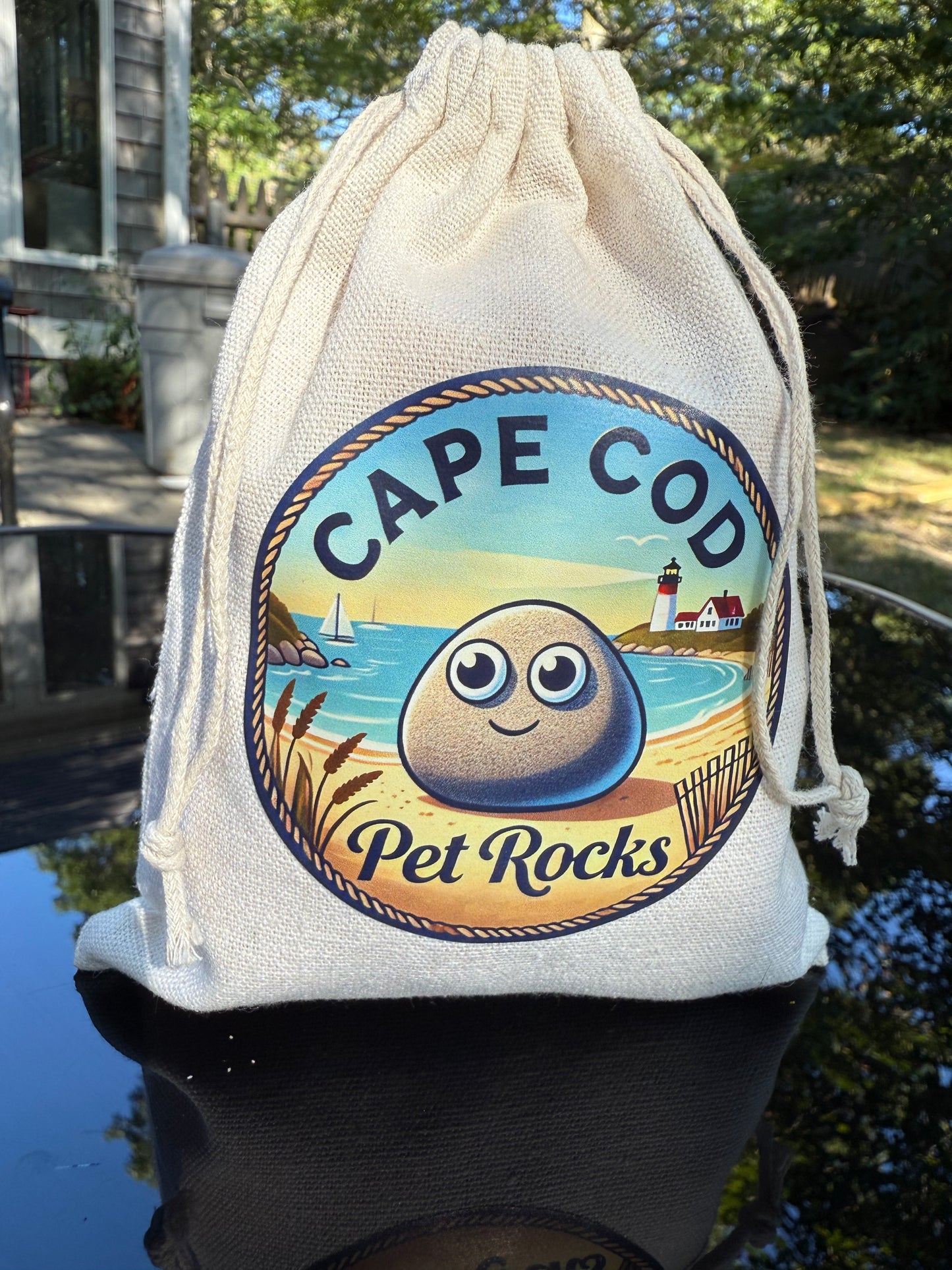 A Cape Cod Pet Rock
