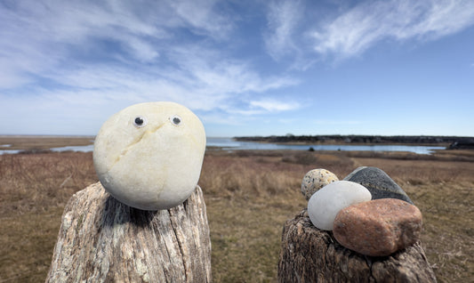 Cape Cod Rock History